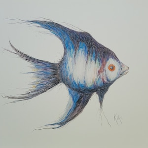 Angelfish