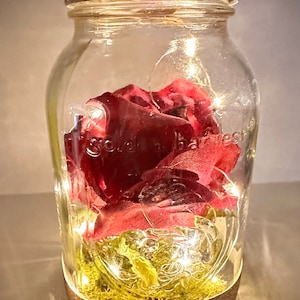 Enchanted Rose