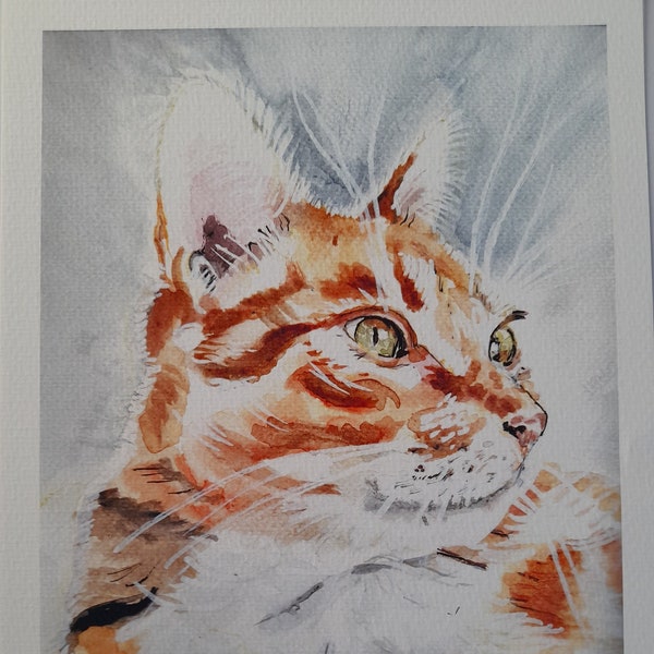 Signed Ginger Tabby Cat Print