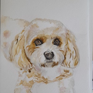 May include: Watercolour painting of a small, light brown dog with brown eyes. The dog is looking directly at the viewer with its head tilted slightly to the side. The painting is done in a realistic style and captures the dog's playful personality.