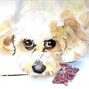 May include: Watercolour painting of a white and brown dog with a red rose in its mouth. The dog is looking at the viewer with sad eyes.