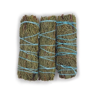 Può includere: Tre fasci di erbe verdi essiccate, ben avvolti con spago azzurro chiaro. I fasci sono di forma rettangolare e sembrano essere fatti di foglie e steli essiccati. Lo sfondo è bianco.