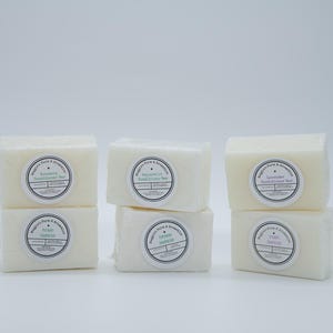 Shampoo Bar Conditioner Bar Set Natural Hair Care Solid Shampoo Solid Conditioner Bars Eco-Friendly Hair Care Gift Set Sustainable Self Care
