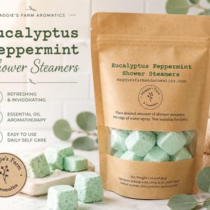 eucalyptus peppermint shower steamers. green cubes in a kraft ziplock bag.