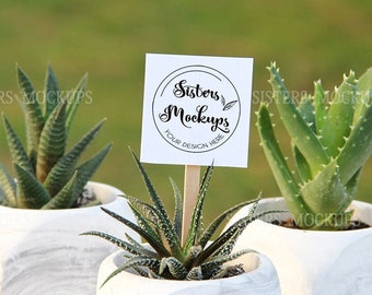 Download Succulent Mockup Etsy