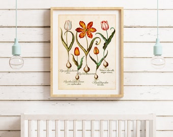 Tulips Giclee Art Print, Vintage Botanical Tulip Flowers Illustration, Archival Quality Tulip Floral Poster #086