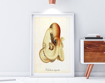 Octopus Printable Wall Art, peinture à l’aquarelle nautique vintage, impression d’illustration de poulpe téléchargeable #096