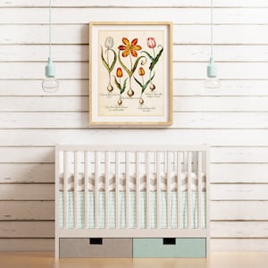 Tulips Printable Wall Art, Vintage Botanical Tulip Flowers Illustration, Downloadable Floral Print #086