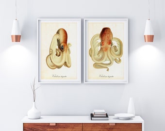 Octopus Printable Wall Art Set of 2, Vintage Nautical Watercolor Painting, Downloadable Octopus Illustration Prints