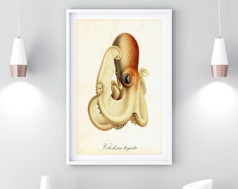 Octopus Giclee Art Print, Vintage Nautical Watercolor Illustration, Archival Quality Octopus Wall Poster #096