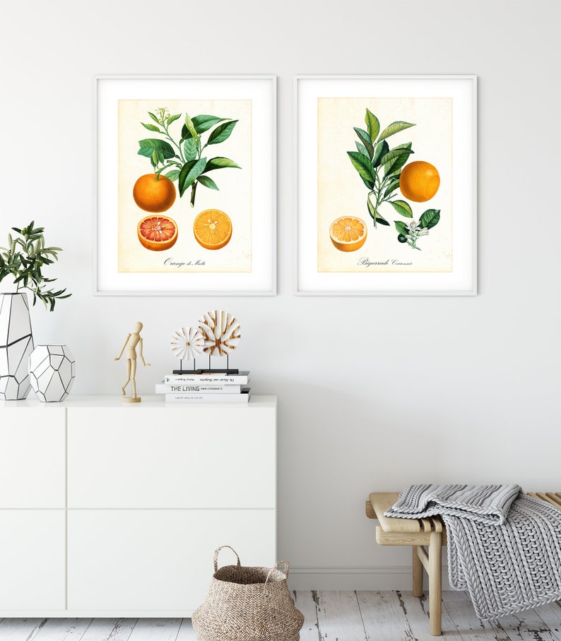 Set of 2 Orange Printable Wall Art Orange Citrus Fruits Etsy