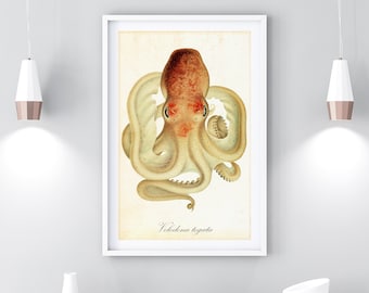 Octopus Giclee Art Print, Vintage Nautical Watercolor Illustration, Archival Quality Octopus Wall Poster #097