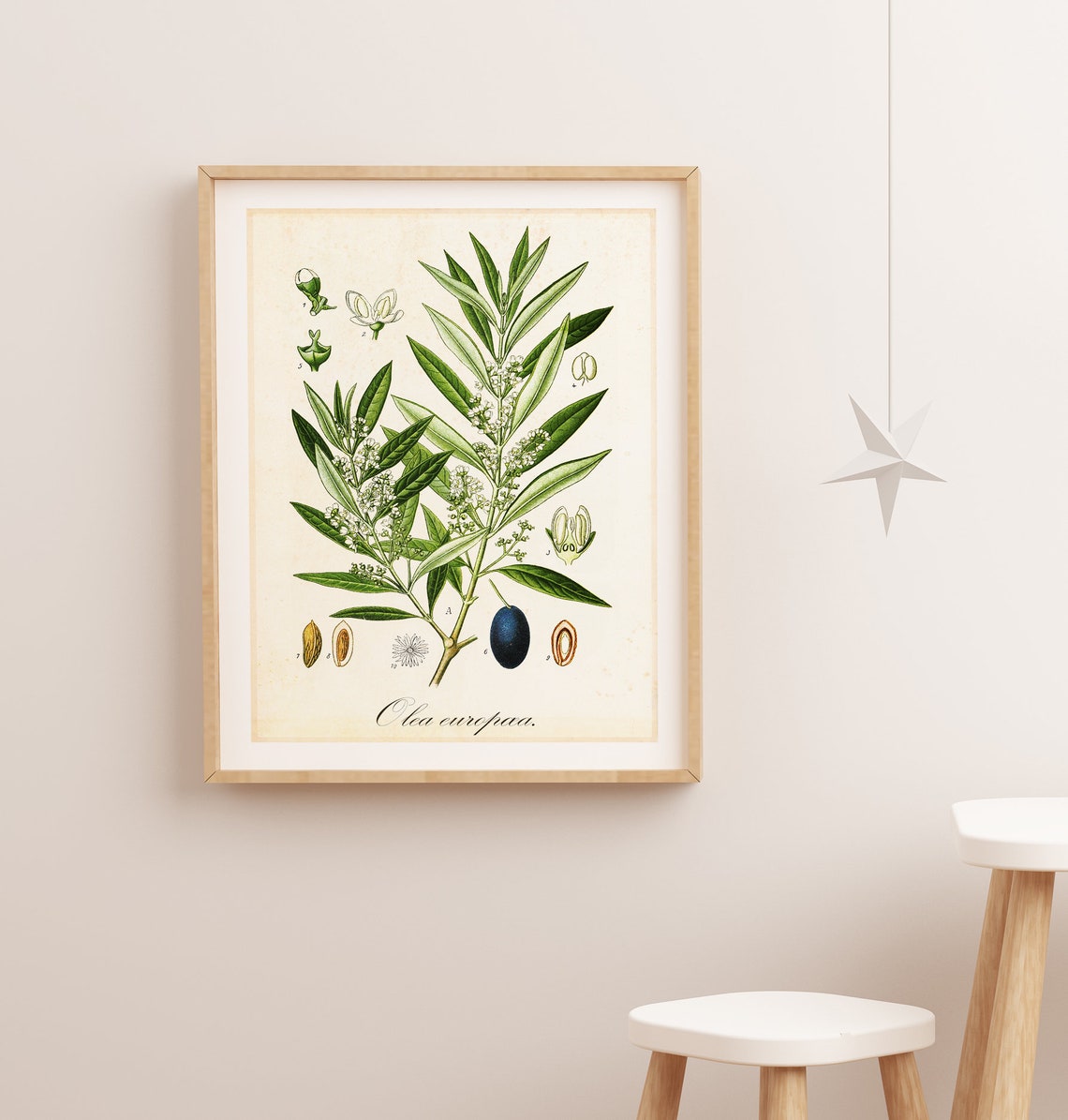 Olive Printable Wall Art Olive Tree Branch Botanical Wall Etsy