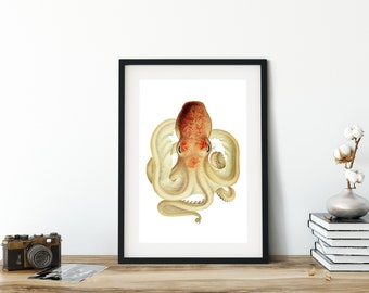 Octopus Giclee Art Print, Vintage Nautical Watercolor Illustration, Archival Quality Octopus Wall Poster #097a