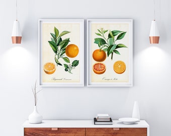 Set of 2 Orange Printable Wall Art, Orange Citrus Fruits Botanical Print Set, Downloadable Set of 2 Orange Fruit Posters