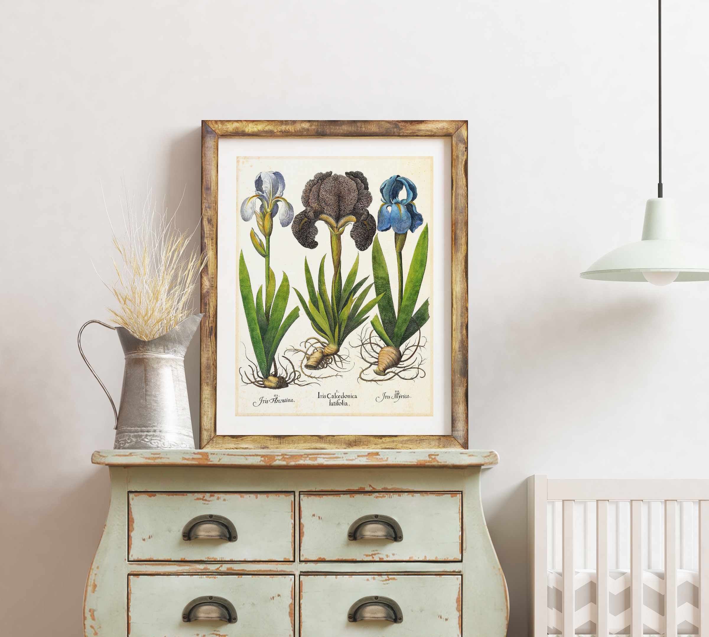 Irises Printable Wall Art Antique Botanical Iris Flower | Etsy