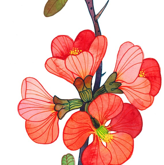 Branches Of Blooming Quince Still-Life Art Print Home Decor Wall Art Poster H Branches Of Blooming Quince Still-Life Art Print Home Decor Wall Art Poster H