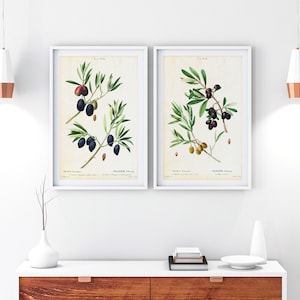 Set of 2 Olive Printable Wall Art, Olive Tree Branch Botanical Print Set, Olive Kitchen Art Decor, Set of 2 Download Botanical Art Prints
