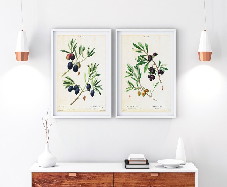Set of 2 Olive Printable Wall Art, Olive Tree Branch Botanical Print