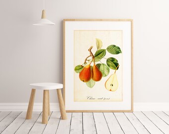 Red Pear Giclee Art Print, Antique Botanical Pear Tree Branch Illustration, Archival Quality Pear Fruits Wall Poster #061