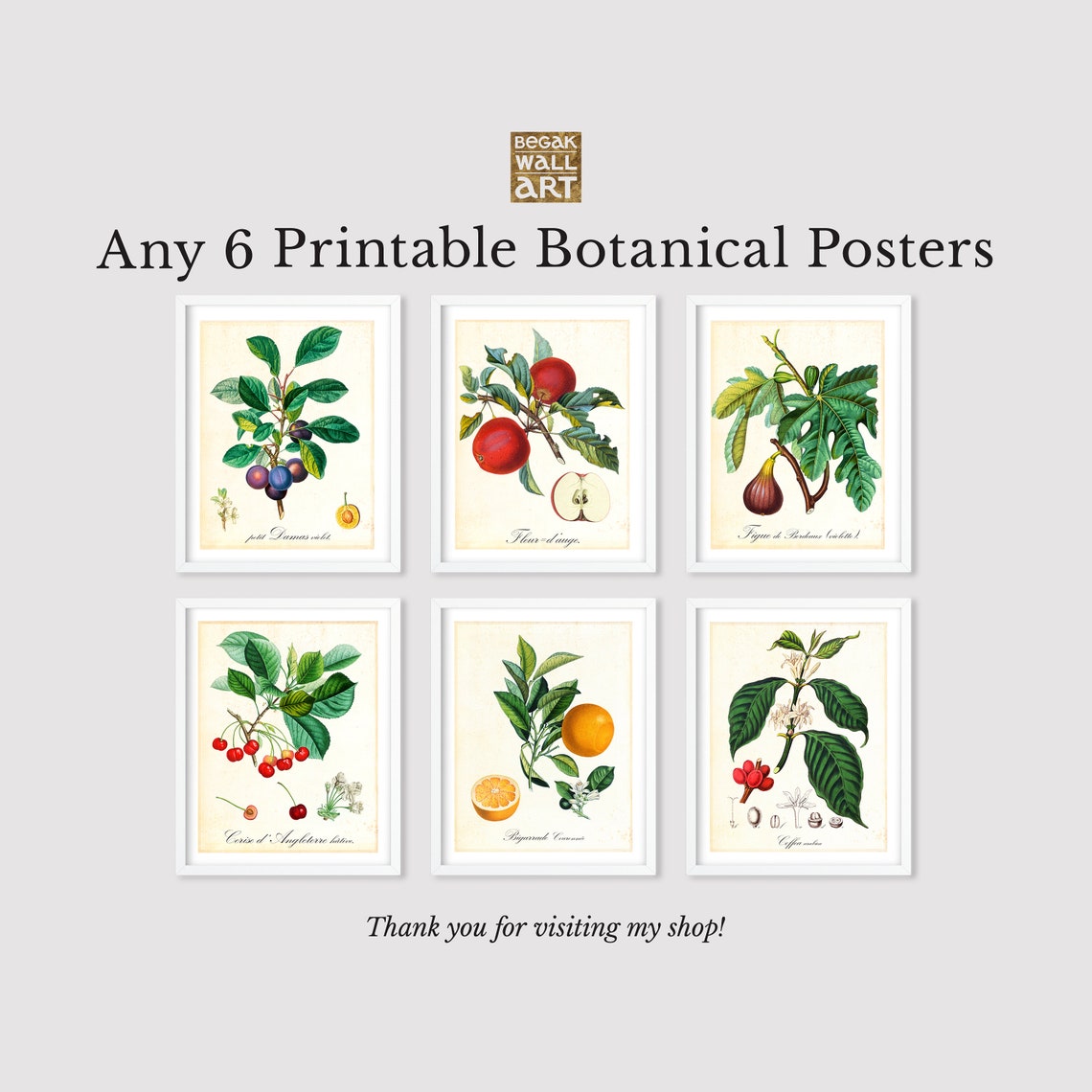 Set of 6 Printable Botanical Wall Art Any 6 Vintage Botanical - Etsy