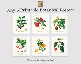Set of 6 Printable Botanical Wall Art, Any 6 Vintage Botanical Illustration Prints, Downloadable Kitchen Poster Set