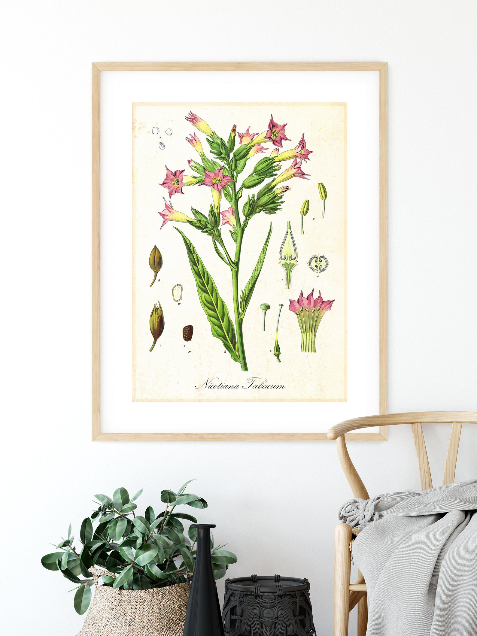 Tobacco Printable Wall Art Poster Vintage Tobacco Plant - Etsy