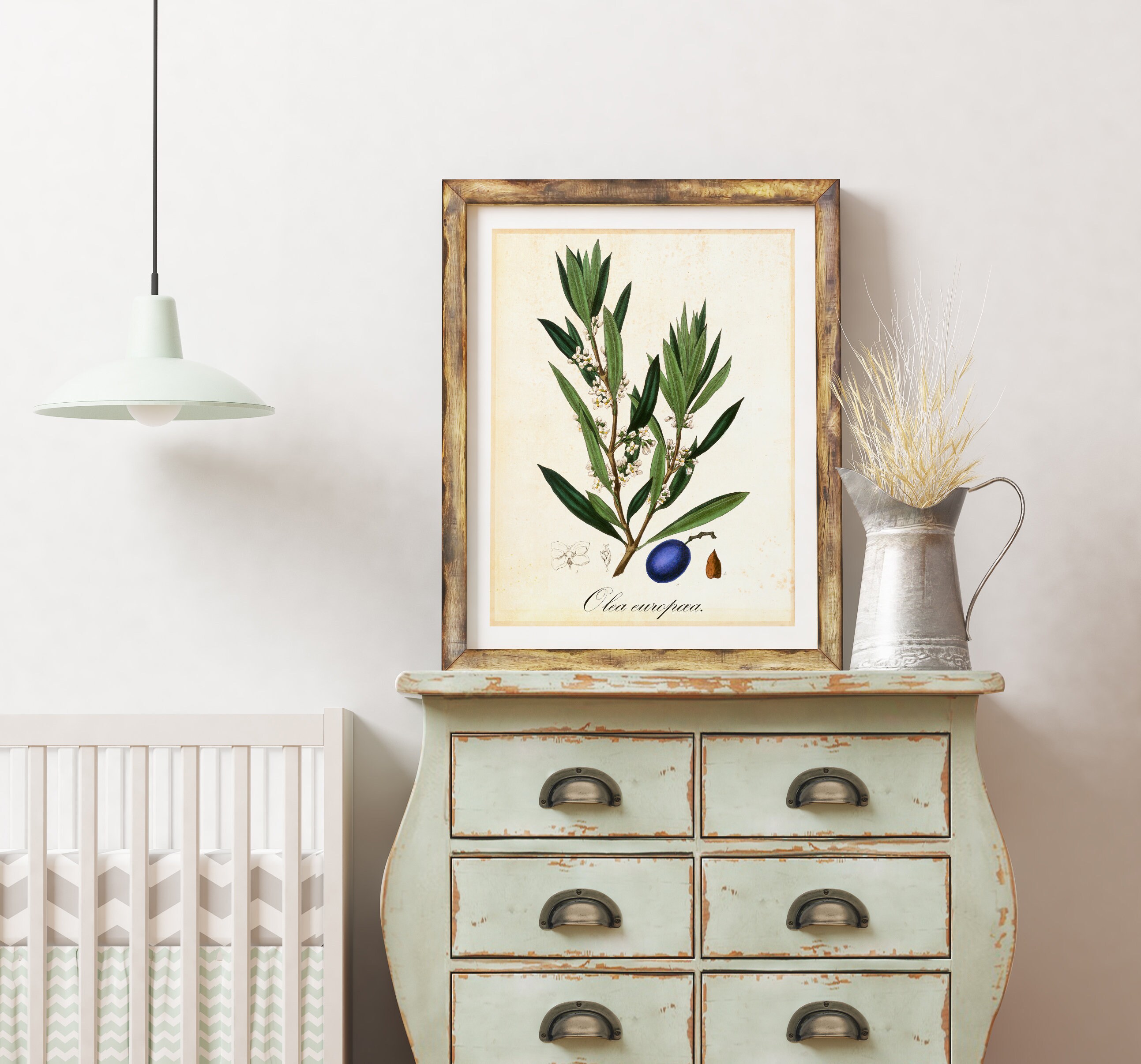 Olive Tree Branch Wall Art Print Vintage Botanical Olive Etsy