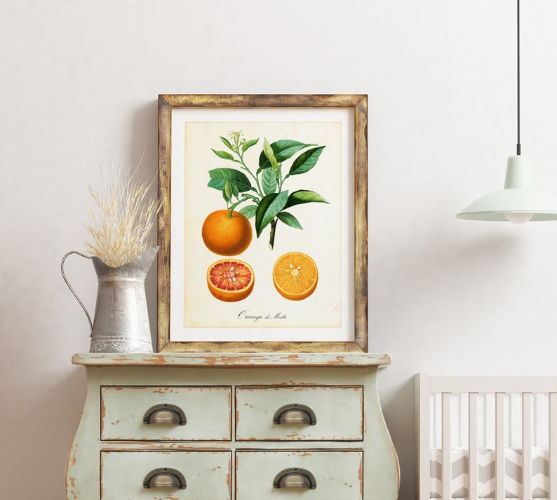 Set of 2 Orange Printable Wall Art Orange Citrus Fruits Etsy
