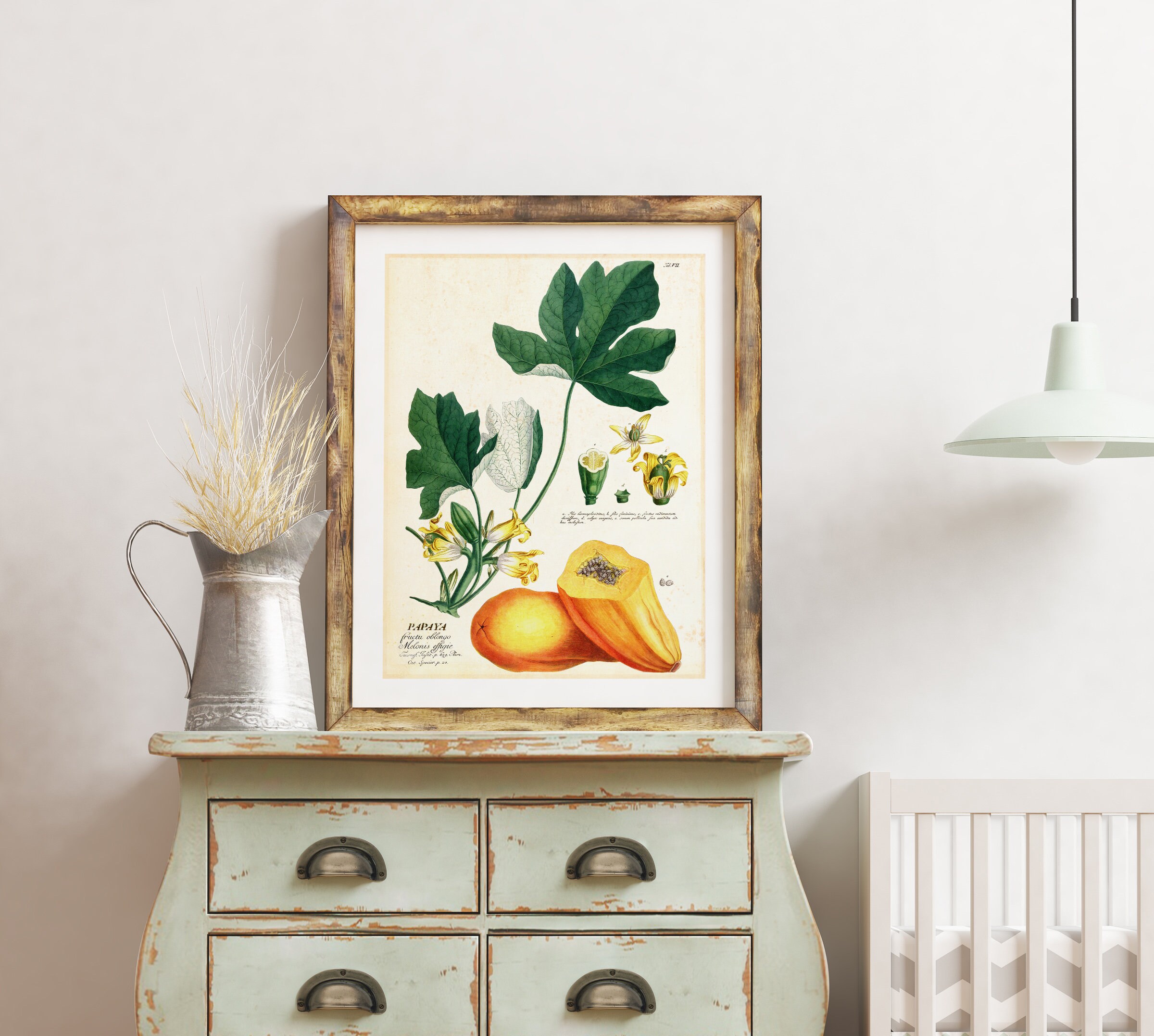 Papaya Giclee Art Print Vintage Botanical Papaya Plant Etsy UK
