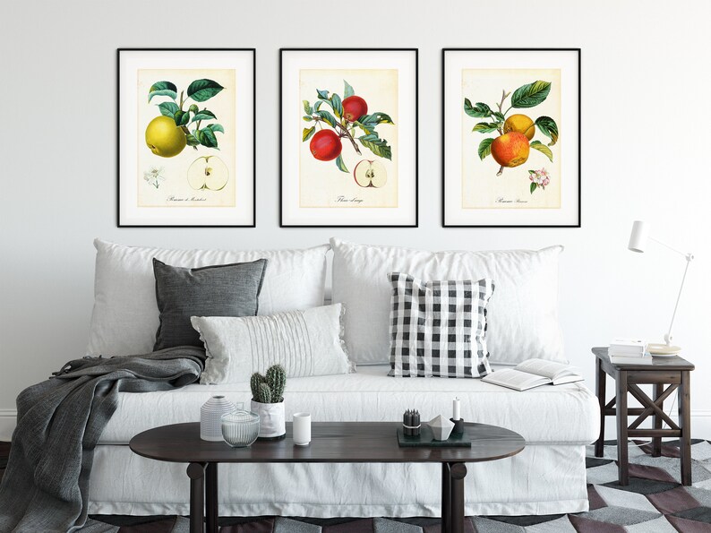 Set von Apple Giclee Art Prints 9 12, Vintage botanische Apfelbaumzweig-Illustrationen, Set von 3 Obst-Küchenpostern in Archivqualität Bild 7