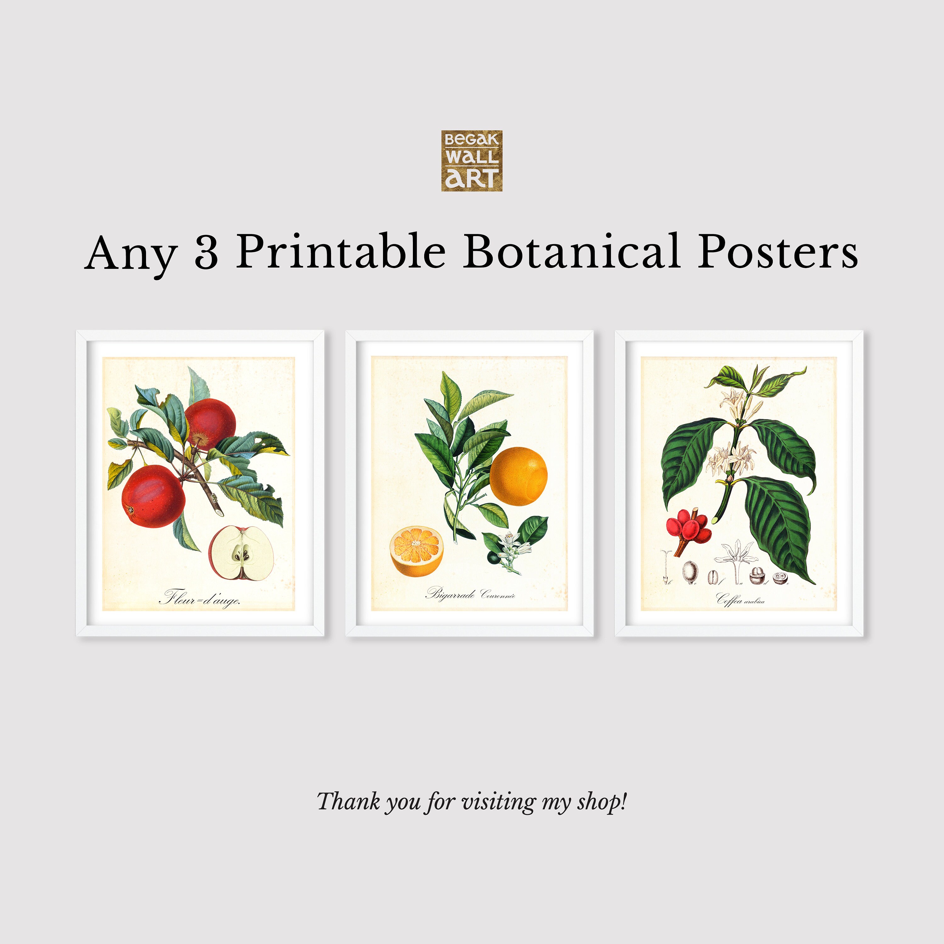 Set of 3 Printable Botanical Wall Art Any 3 Vintage Botanical Etsy