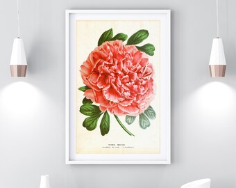 Peony Print Instant Download Printable Flower Art Botanical - Etsy