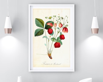 Strawberry Printable Wall Art, Vintage Botanical Strawberry Illustration, Fruits Home Decor, Food Poster, Downloadable Strawberry Print #075