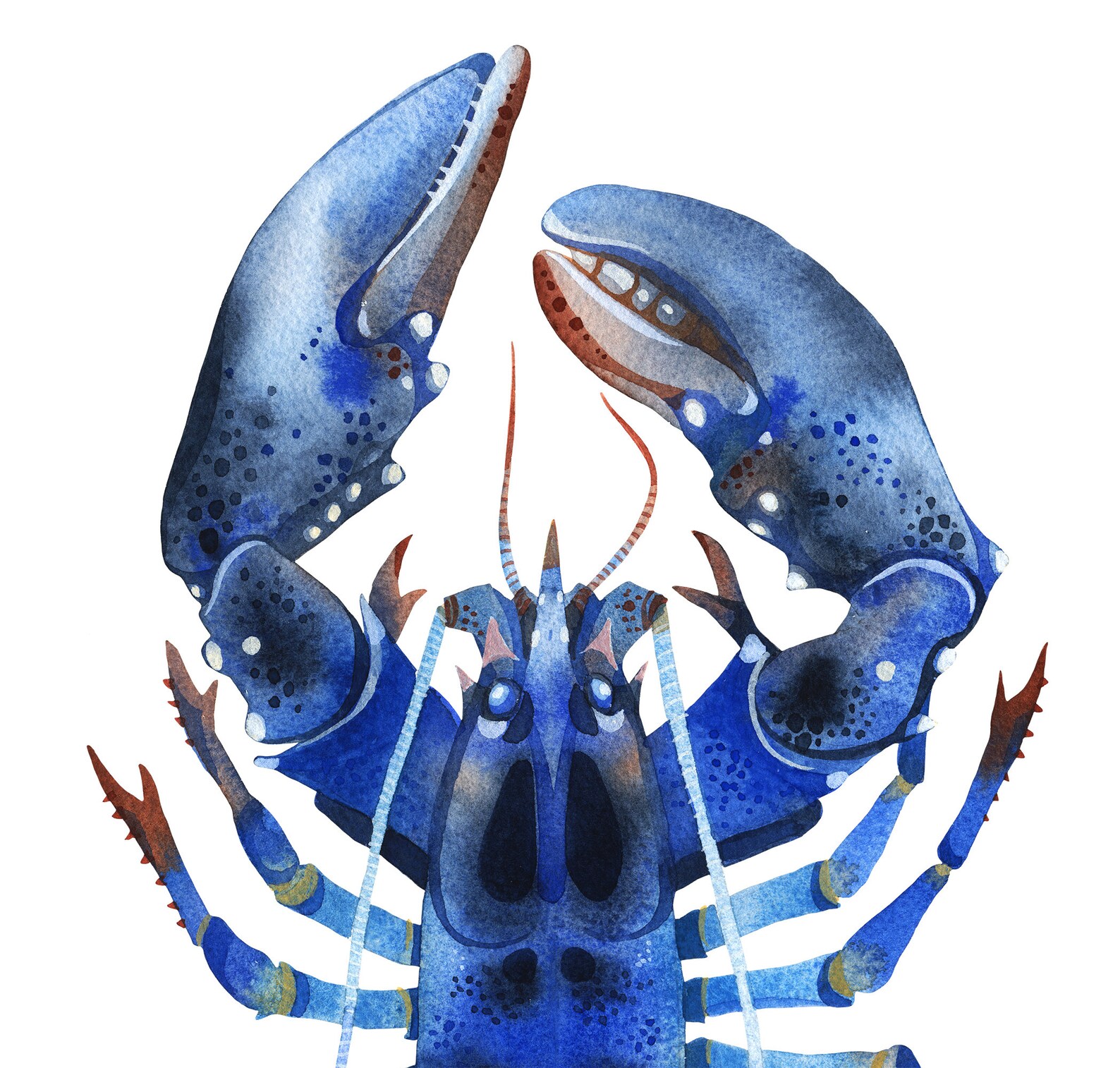 Set of 3 Blue Lobster Wall Art Prints Lobster Watercolor Etsy