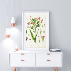Tobacco Printable Wall Art Poster, Vintage Tobacco Plant Botanical Illustration, Greenery Wall Decor, Downloadable Tobacco Print #106
