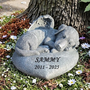 Peut inclure: Mémorial en pierre grise en forme de cœur avec le nom "SAMMY" et les années "2011-2025". Il représente un chiot endormi avec des ailes d'ange. Le mémorial est entouré d'herbe et de fleurs, un hommage émouvant.