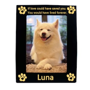 Personalized Pet Memorial Picture Frame for Dog Cat， Resin Paw Prints Pet Photo Frame, Pet Sympathy Keepsake Gifts 5&quot;X7&quot; Vertical