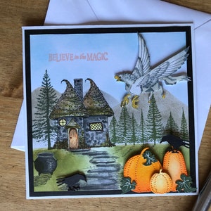 May include: A handmade greeting card with a fantasy theme. The card features a whimsical illustration of a cottage, pumpkins, a soaring bird, and the text "BELIEVE in the MAGIC". The card is set against a light blue sky and a black border.