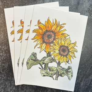 Lot de 4 cartes de voeux vierges aquarelles - Cartes tournesol