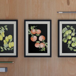 Set of Citrus Prints