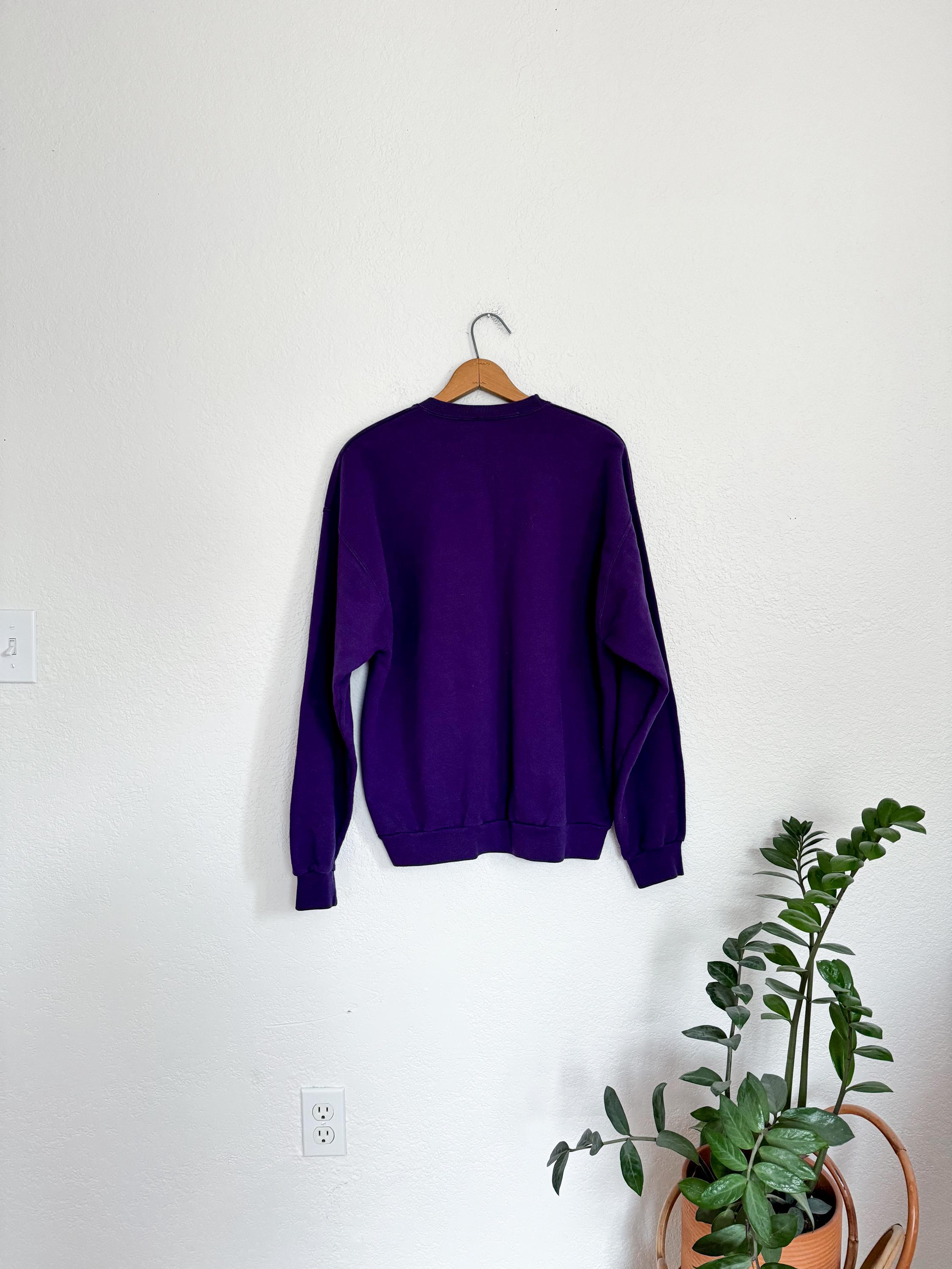 XL- Vintage Washington Purple Winter Scene Snowbirds Graphic 90s ...