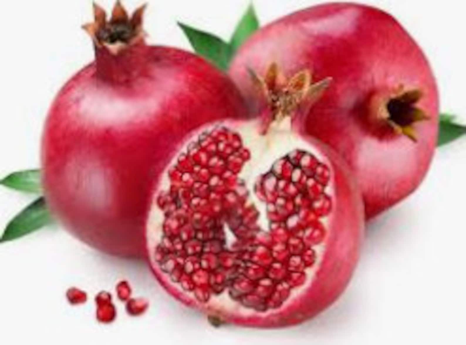 RARE Bonsai DWARF POMEGRANATE Tree Fruit 5 15 or 30 Seeds Etsy