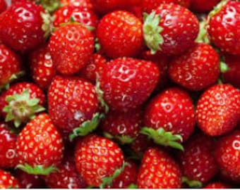 RARE Sweet Charlie STRAWBERRY Fruit Plant Tree  5 ,30 ,100 or 200 SEEDS + instructions-(Sweetest Strawberry )Combined shipping -Usa