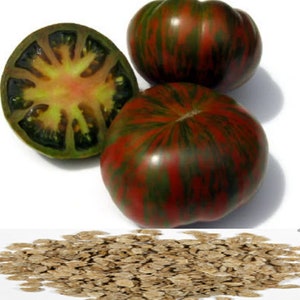 RARE Chocolate Stripe TOMATO 10  seeds - Delicious --(Fresh harvested in our Usa Farm) Combined shipping Discount- Ships next day