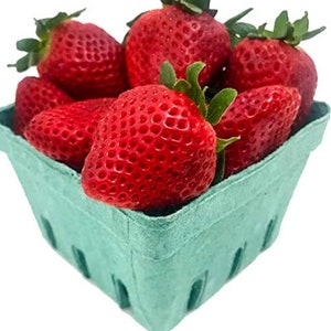 V RARE CLIMBING STRAWBERRY Fruit Plant Tree 2 ,30 ,100 or 200 Seeds Combined shipping Pay shipping just for the first item Usa Seller image 2