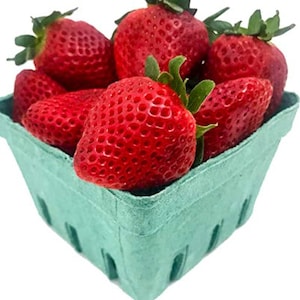 RARE Fort Laramie Everbearing STRAWBERRY Fruit Plant Tree (Hardiest for Cold) 5 ,30 ,100 or 200 Seeds + instructions-Combined shipping -Usa
