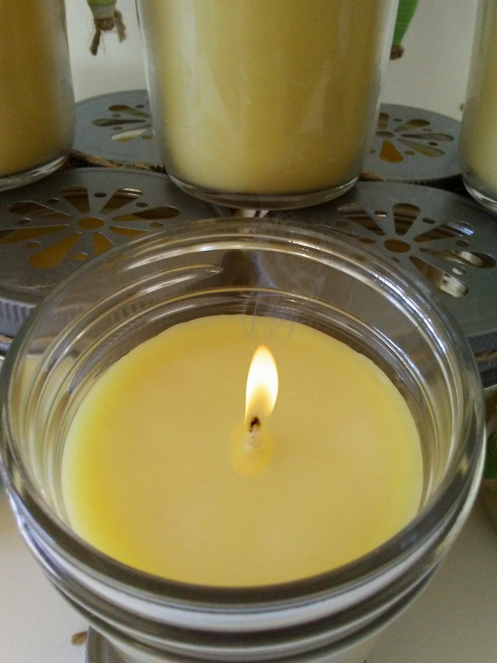 Wholesale Bulk 8 Oz Candles Made in the USA Beeeden's Etsy UK