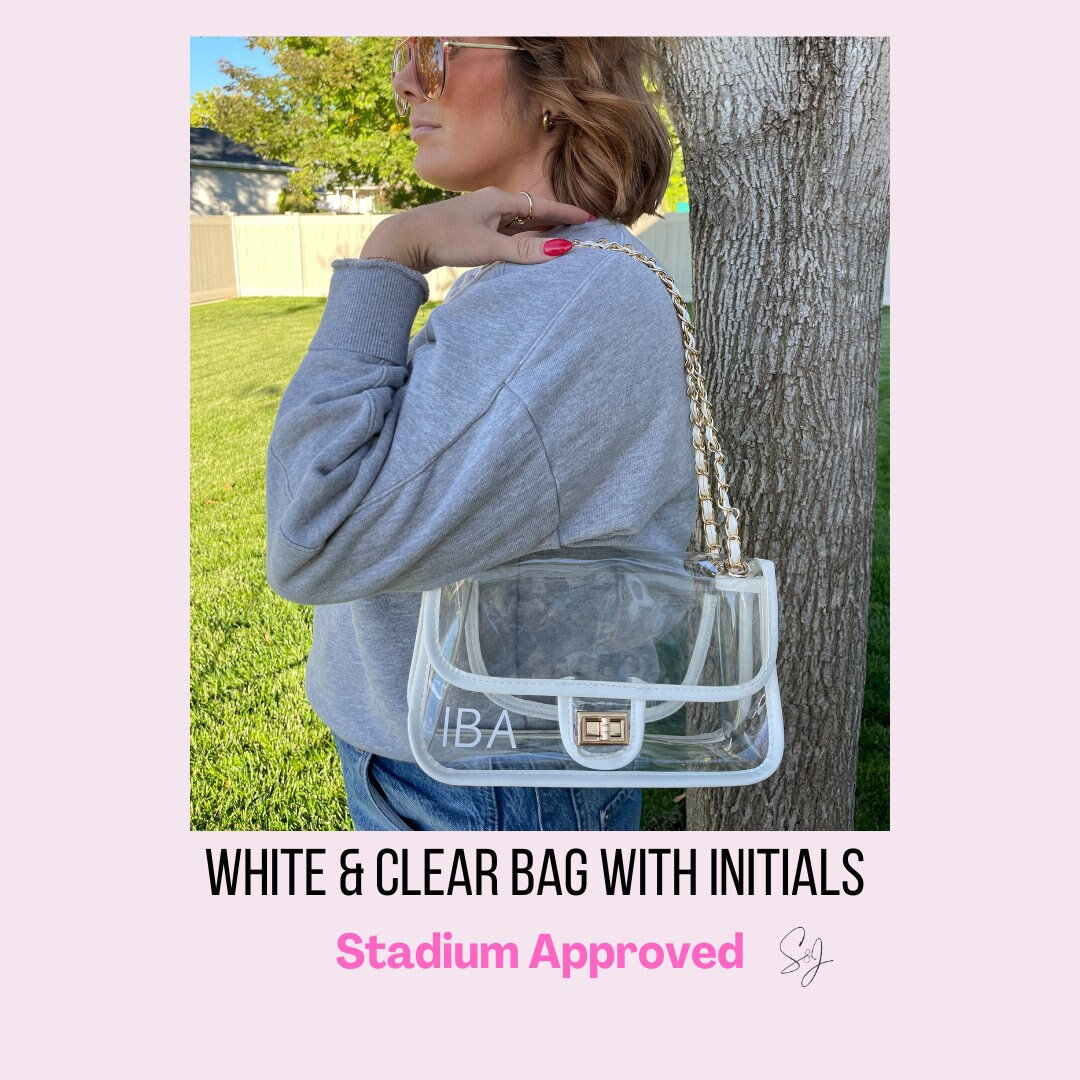 LV Clear Stadium Purse