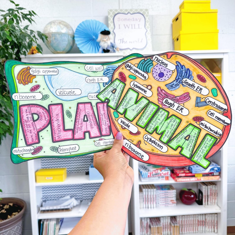 Plant And Animal Cell Labeling Project Coloring Page Diagram Activity plant-and-animal-cell-labeling-project-coloring-page-diagram-activity